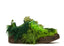 Cactus Plant Flea Market x CPFM Flea 1 Overgrown